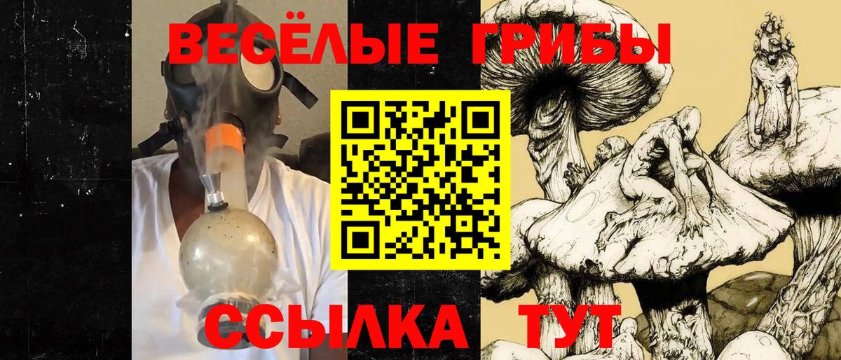 Галлюциногенные грибы Psilocybe  Вход с VPN  Петрозаводск  Галлюциногенные грибы Magic Shrooms 