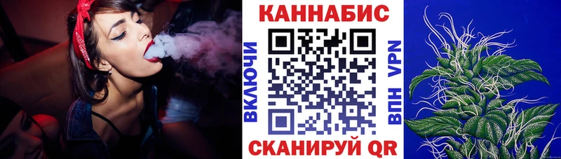 Конопля план  Петрозаводск 